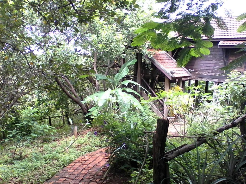 Nature House Eco-Lodge& Trekking バンラング エクステリア 写真