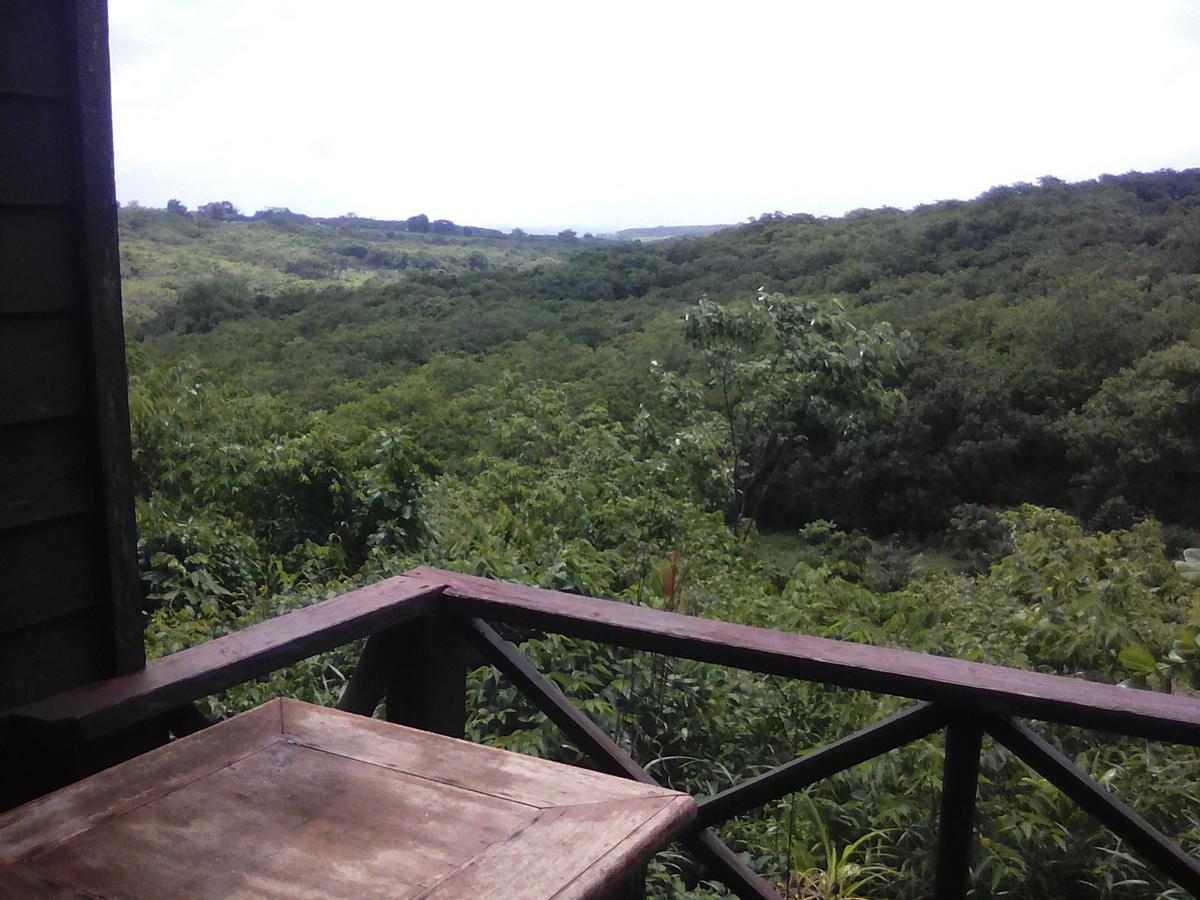 Nature House Eco-Lodge& Trekking バンラング エクステリア 写真