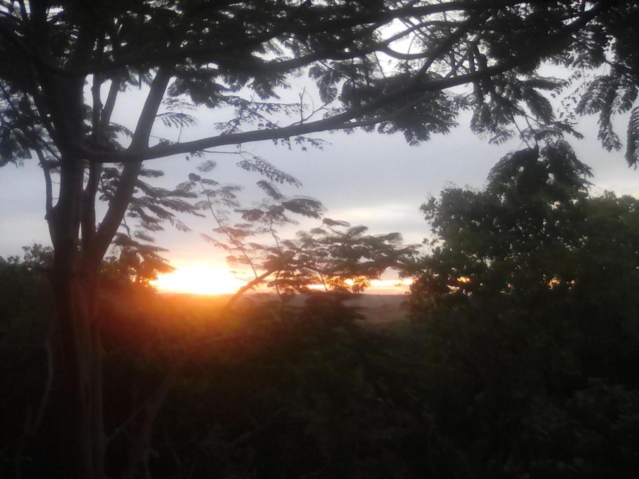 Nature House Eco-Lodge& Trekking バンラング エクステリア 写真